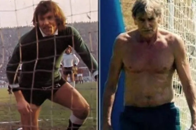 一点食物 一点食物