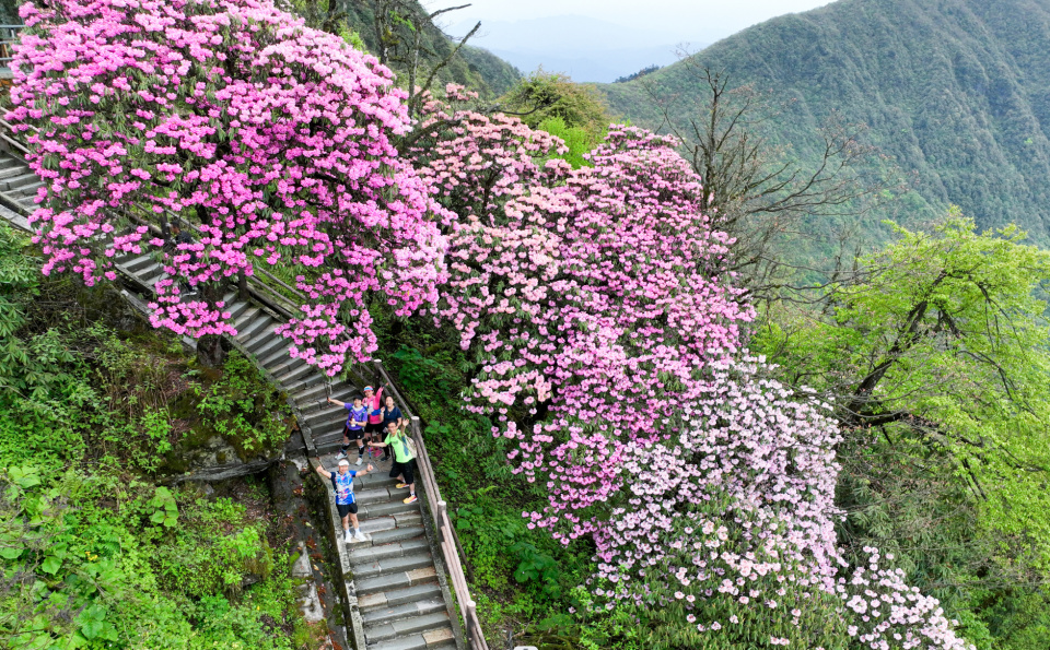 eDREJ, cover eDREJ, cover